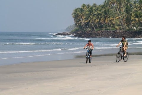 Discover the City on a Bicycle